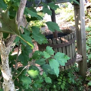 Meet your Posher, Martha